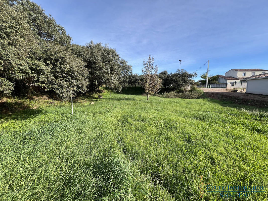 Terrain à CANET