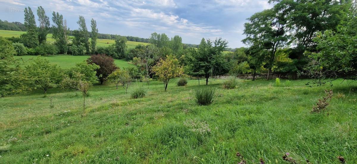 Terrain à LA CHAUSSEE-SAINT-VICTOR