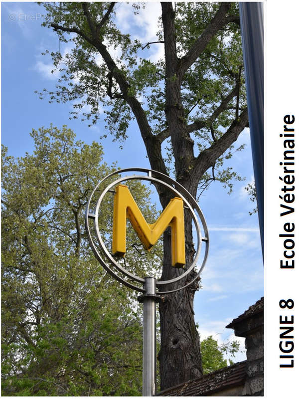 Appartement à MAISONS-ALFORT