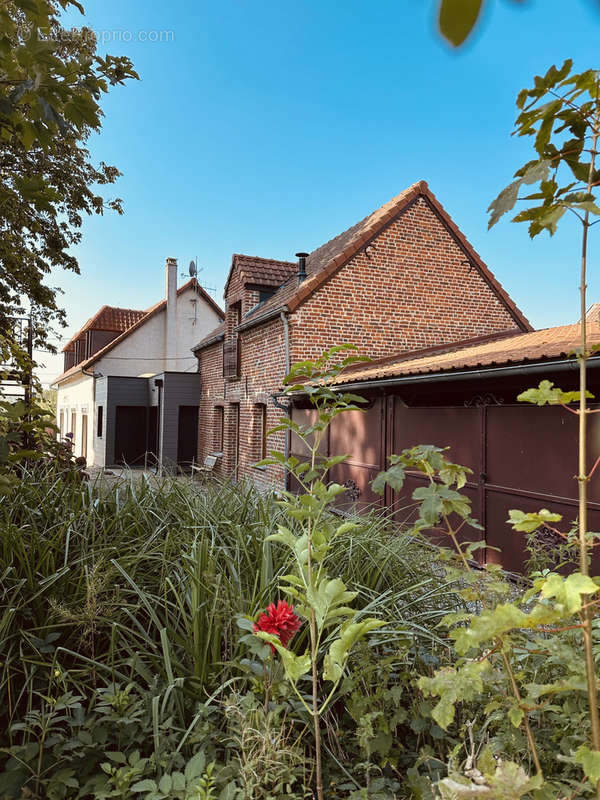 Maison à GOMMEGNIES