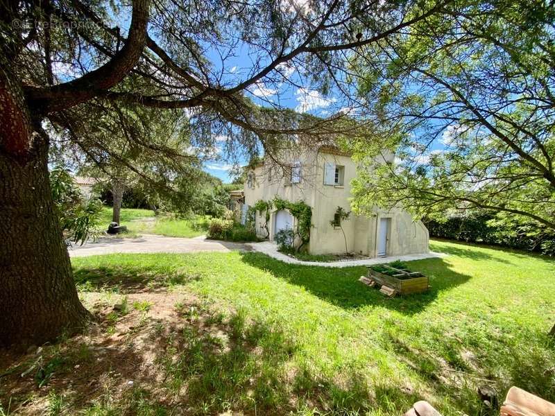 Maison à MONTPELLIER