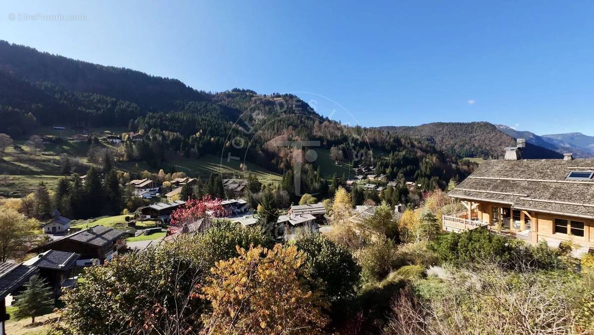 Terrain à LA CLUSAZ