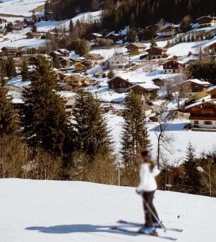 Terrain à LA CLUSAZ