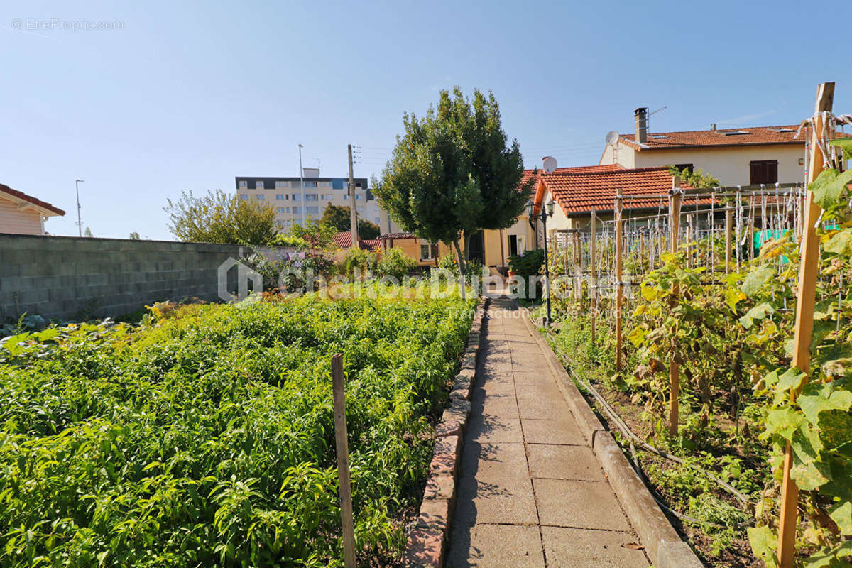 Maison à ROANNE