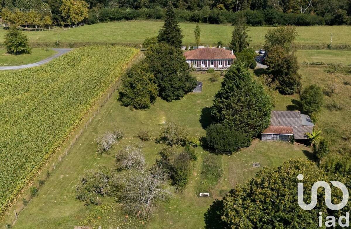 Photo 1 - Maison à SAINT-ANDRE-DE-SEIGNANX