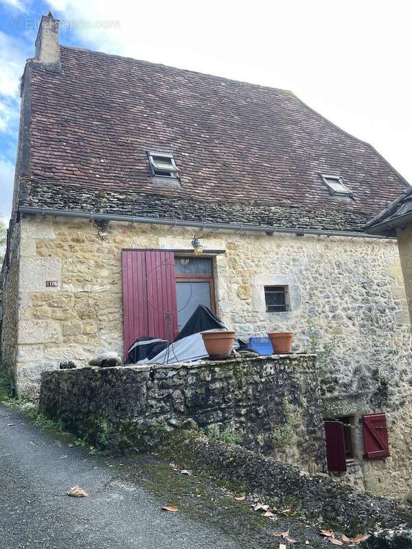 IMG6885 - Maison à SAINT-CYPRIEN