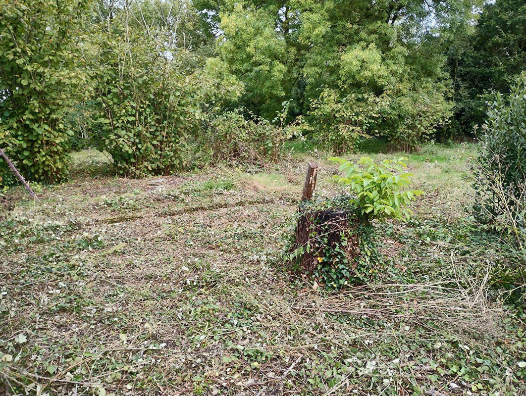 Terrain à L&#039;HERBERGEMENT