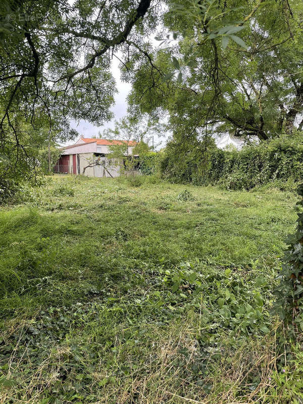 Terrain à L&#039;HERBERGEMENT