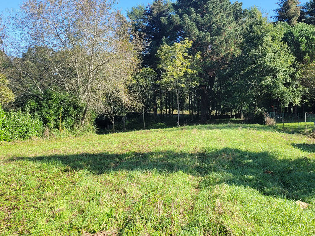 Terrain à LA ROCHE-SUR-YON