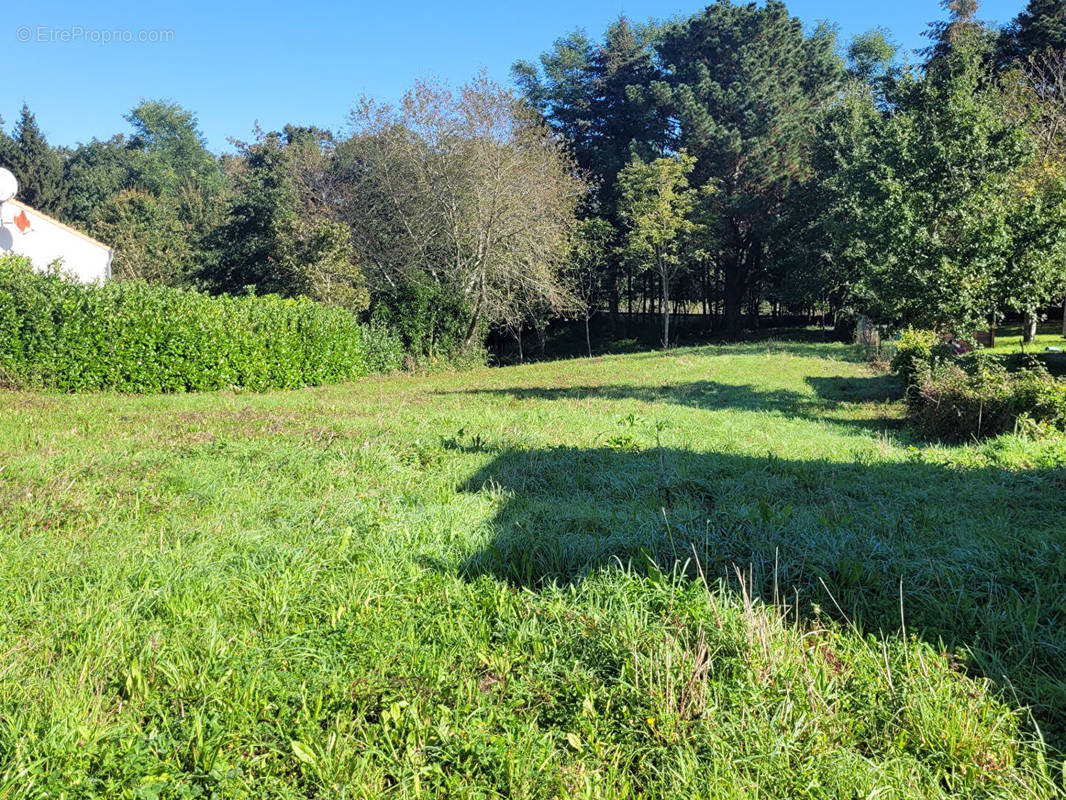 Terrain à LA ROCHE-SUR-YON