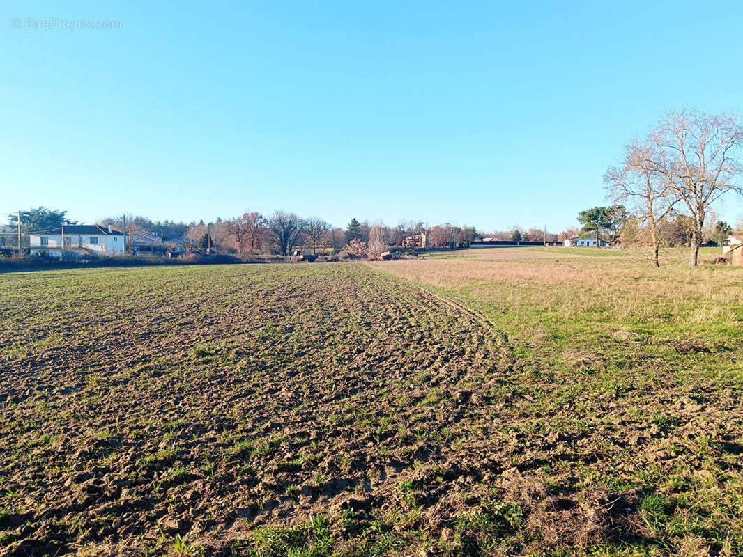 Terrain à MONTAUBAN