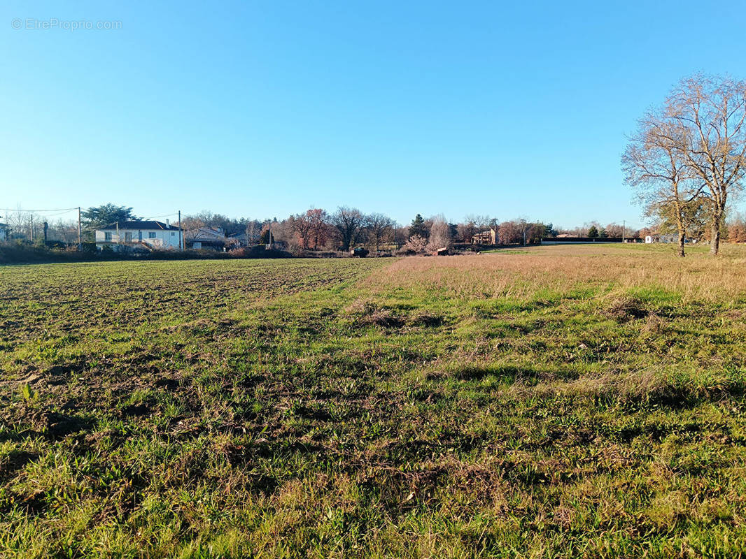 Terrain à MONTAUBAN