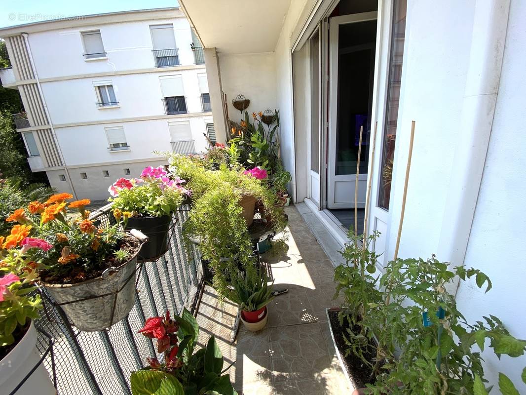 Appartement à AVIGNON