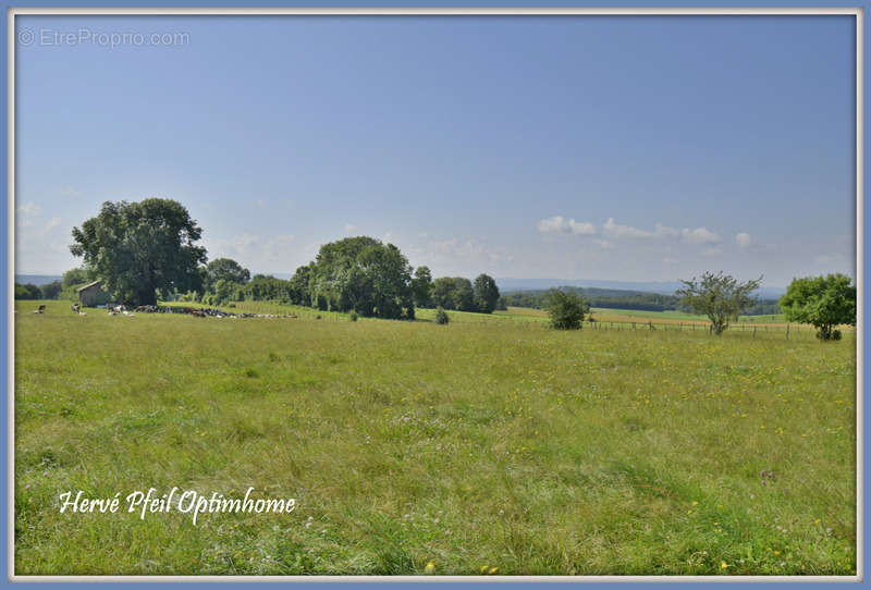 Terrain à FOUCHERANS