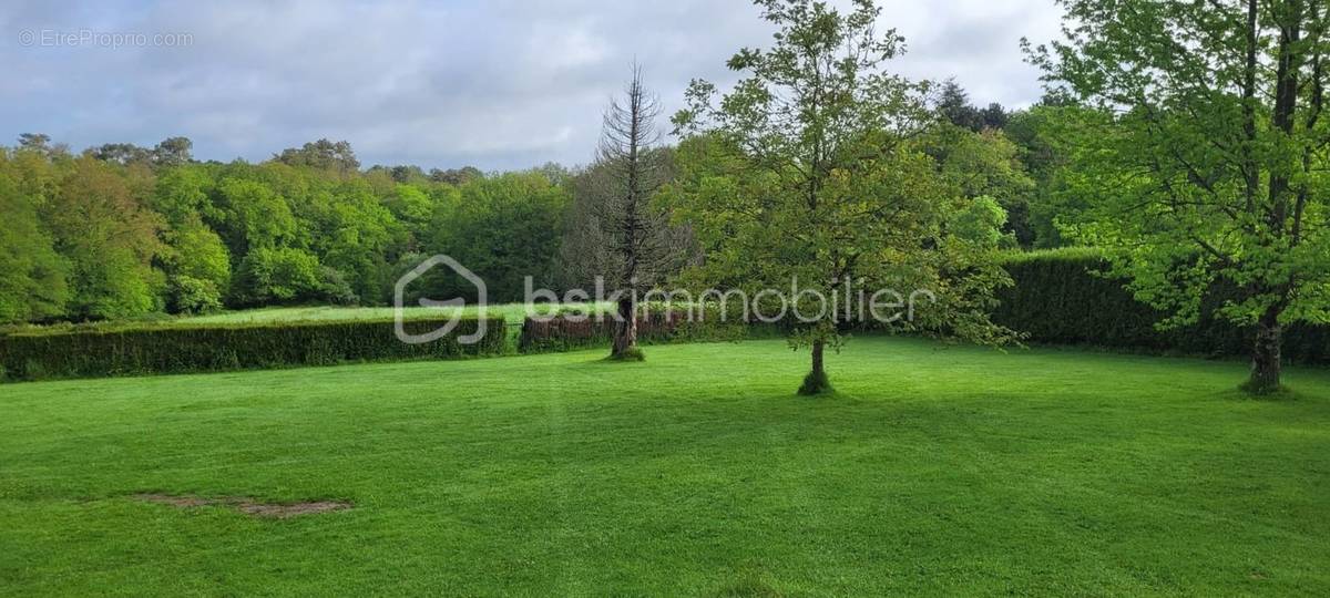 Terrain à SAINT-THURIAL