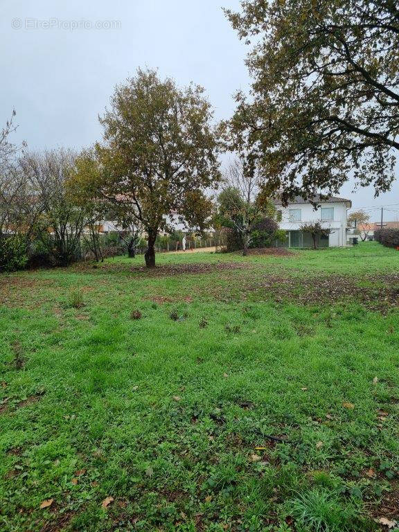 Terrain à MONTAUBAN