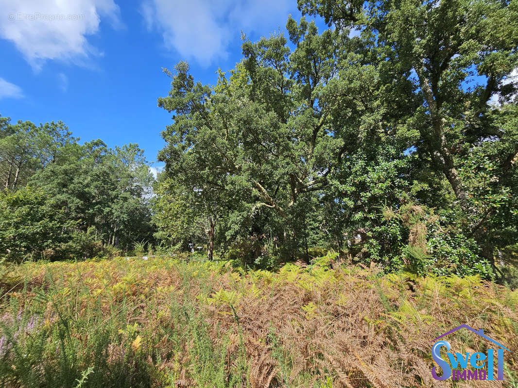 Terrain à MOLIETS-ET-MAA