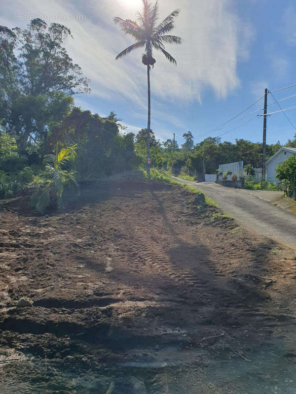 Terrain à LE TAMPON