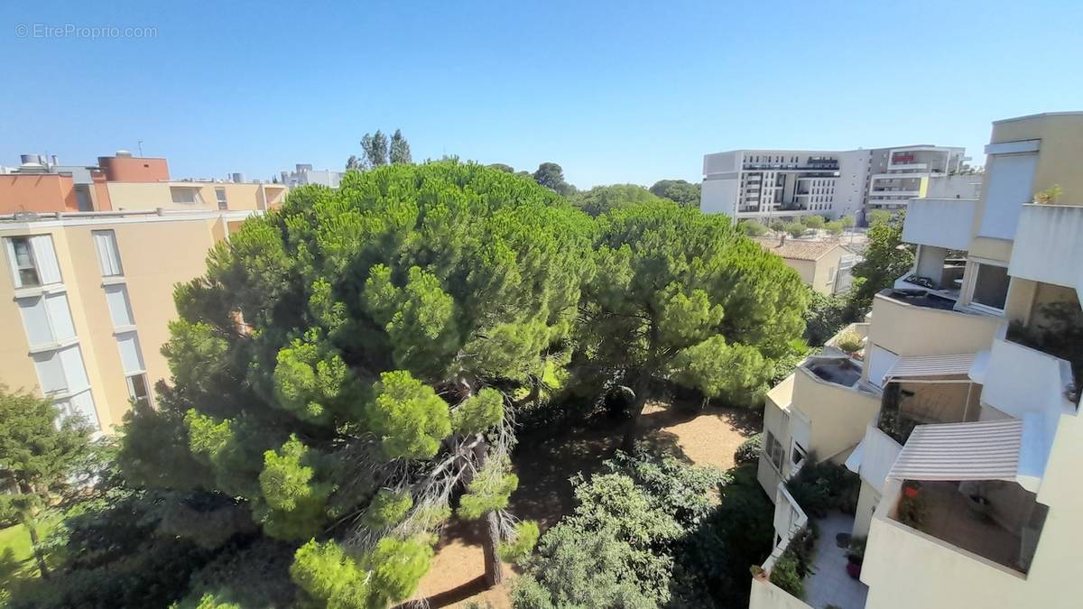 Appartement à MONTPELLIER