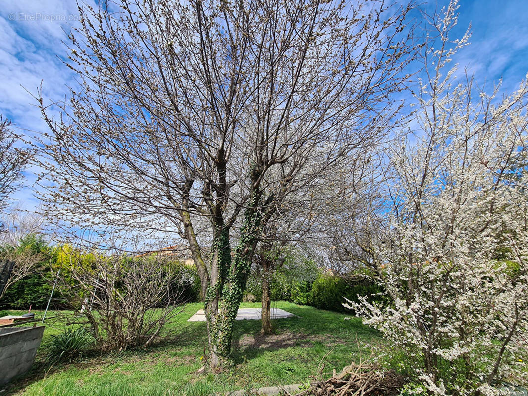 Terrain à PERIGNAT-SUR-ALLIER