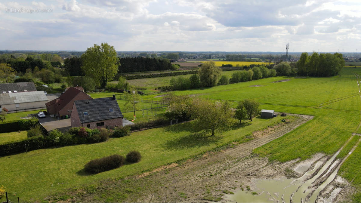 Terrain à MONCHEAUX