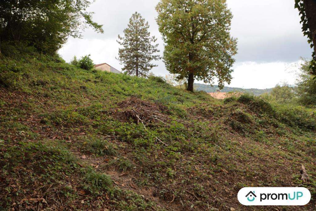 Terrain à SAINT-JEAN-EN-ROYANS