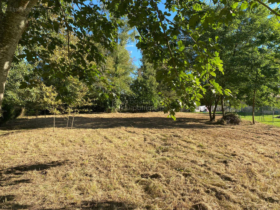 Terrain à BAZAS