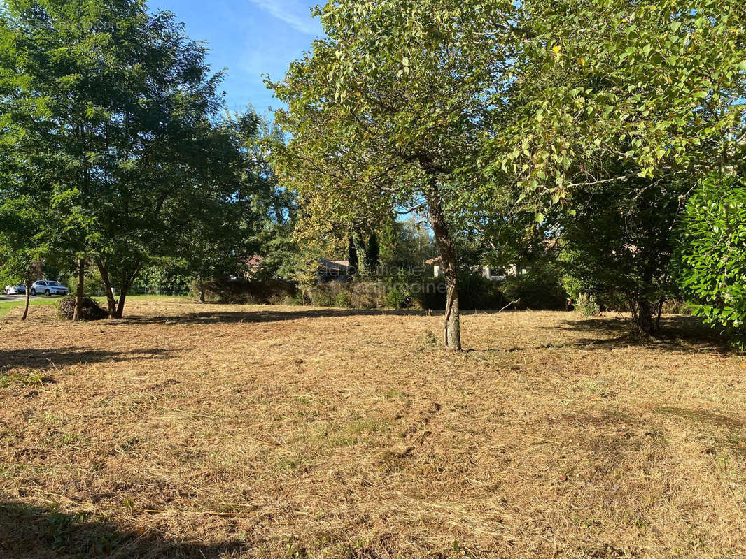 Terrain à BAZAS