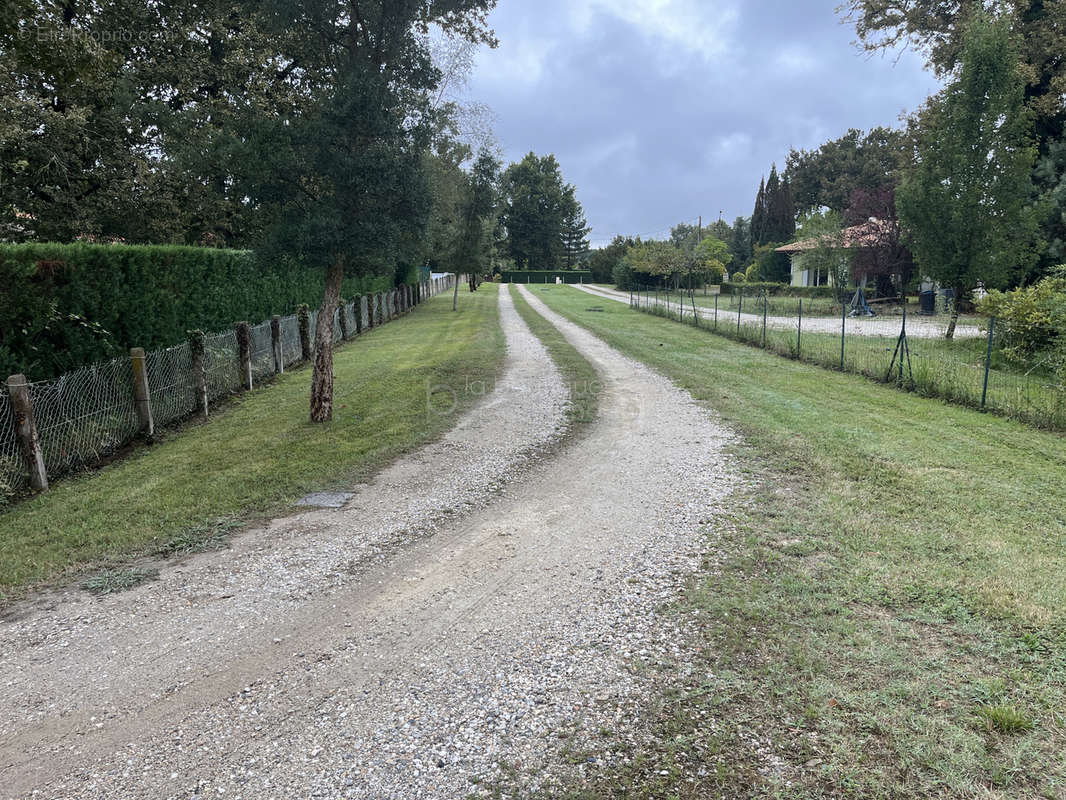 Terrain à BAZAS