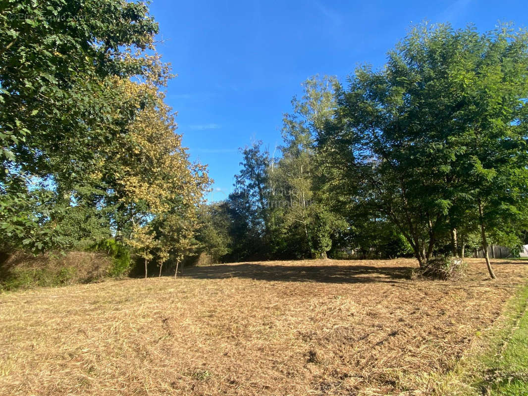 Terrain à BAZAS