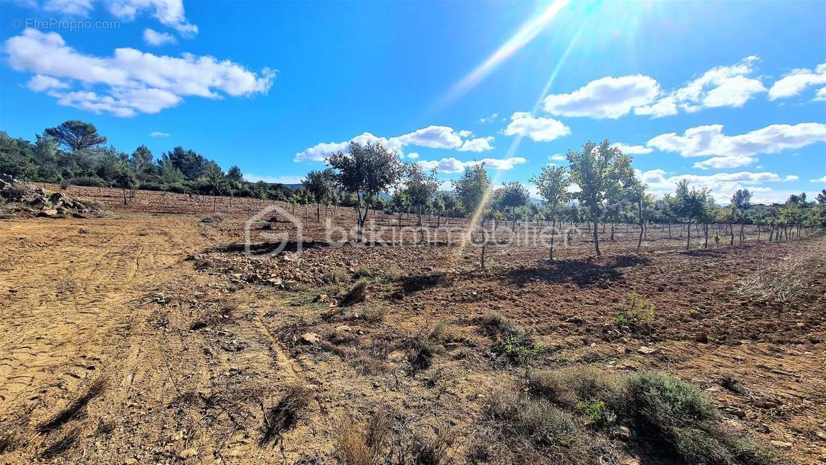 Terrain à VILLESEQUE-DES-CORBIERES