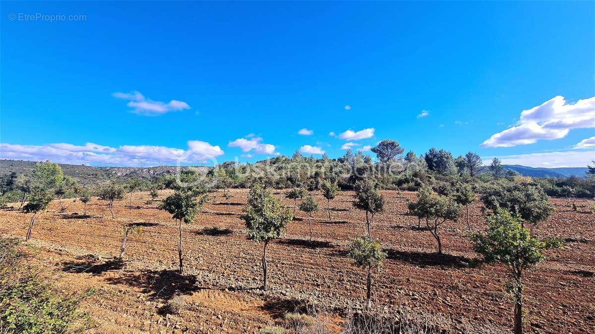 Terrain à VILLESEQUE-DES-CORBIERES