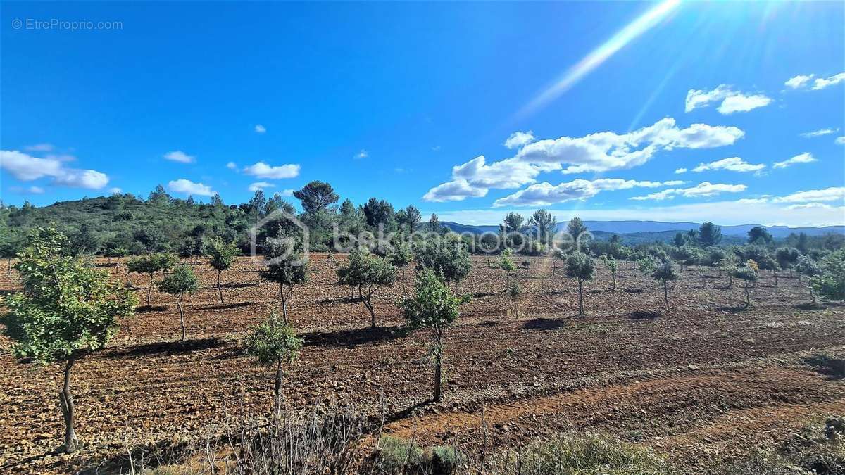 Terrain à VILLESEQUE-DES-CORBIERES