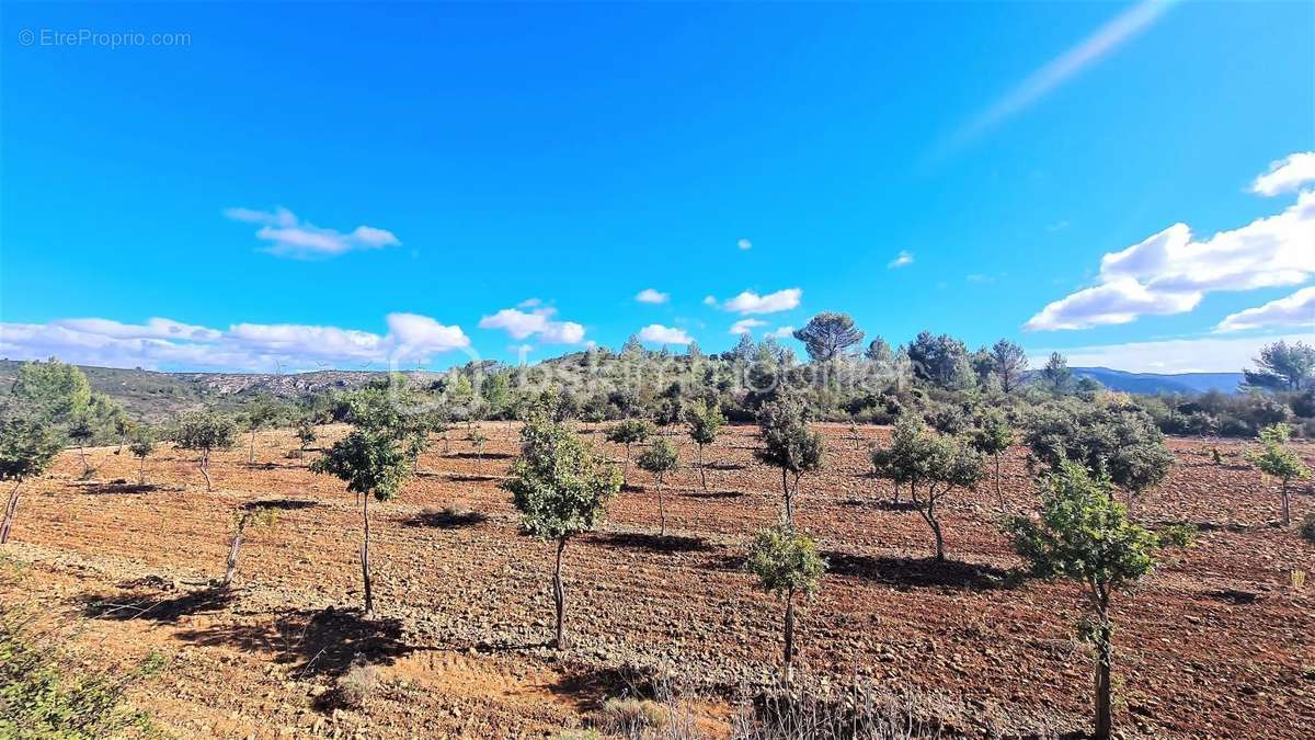 Terrain à VILLESEQUE-DES-CORBIERES