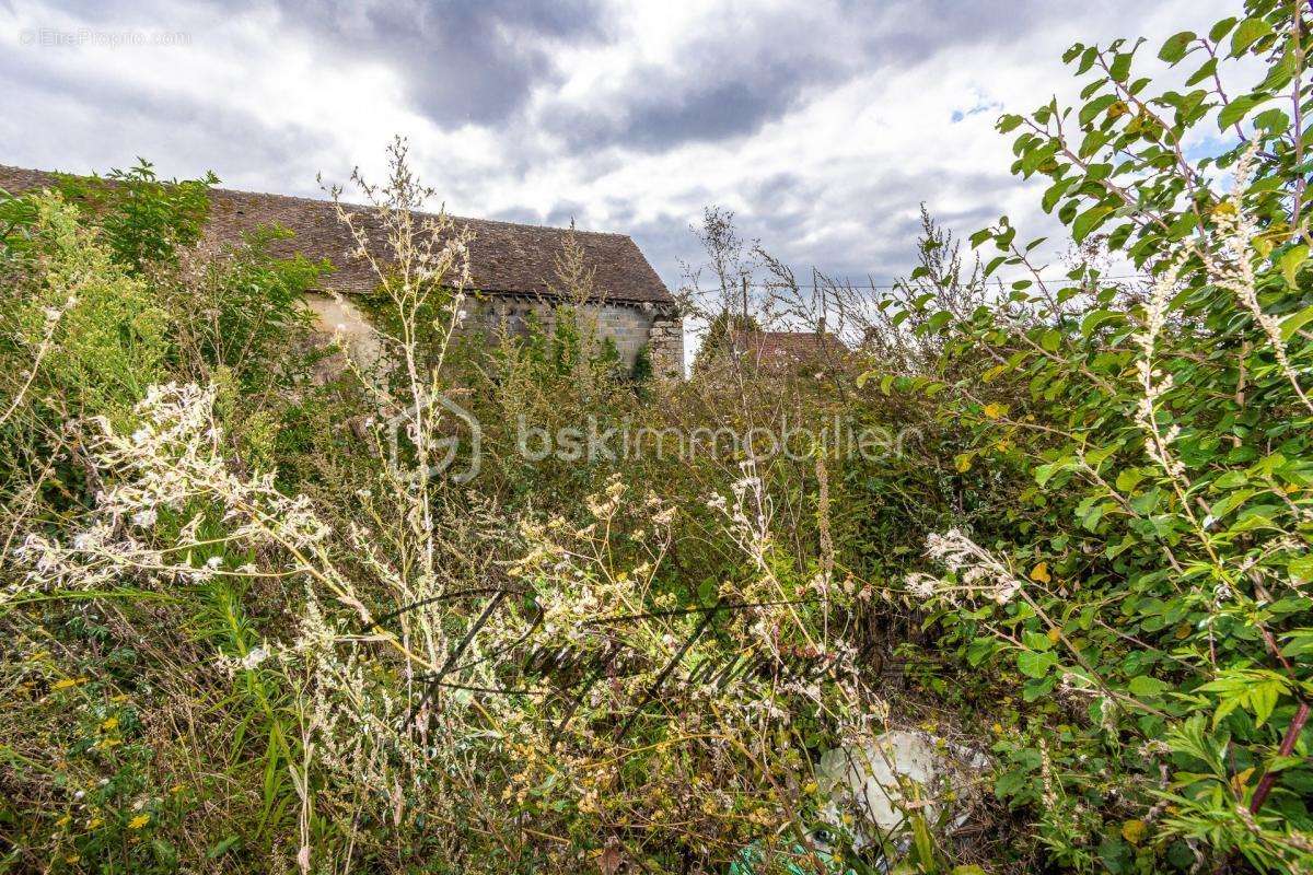 Maison à CHAINTREAUX