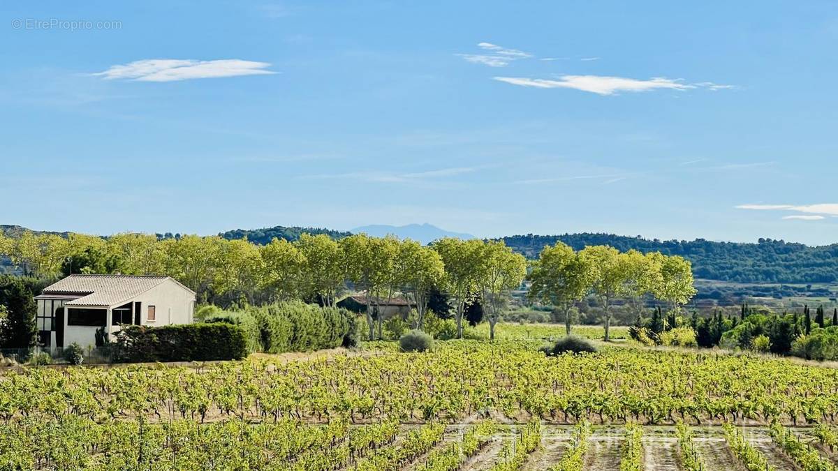 Maison à POUZOLS-MINERVOIS