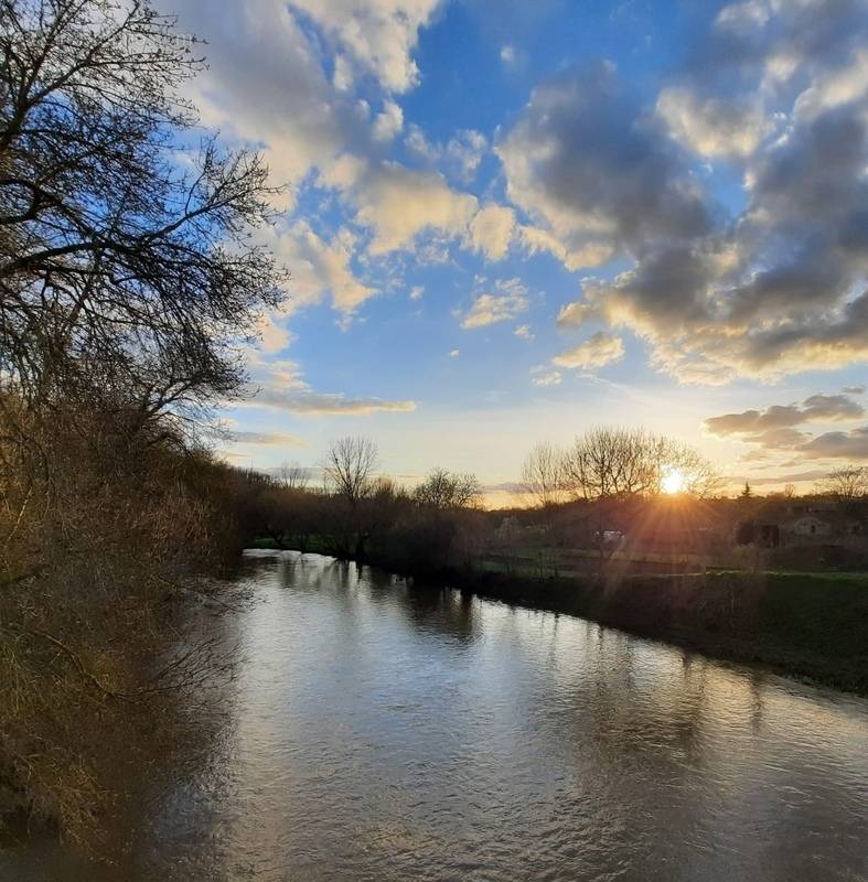 Terrain à THOUARS