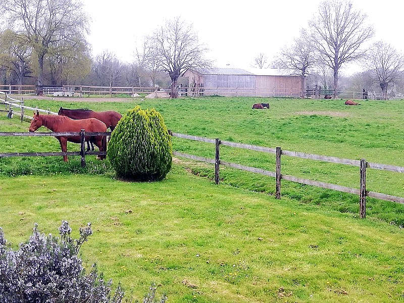 Maison à MESLAY-DU-MAINE