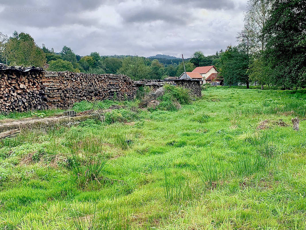 Terrain à MANDRAY