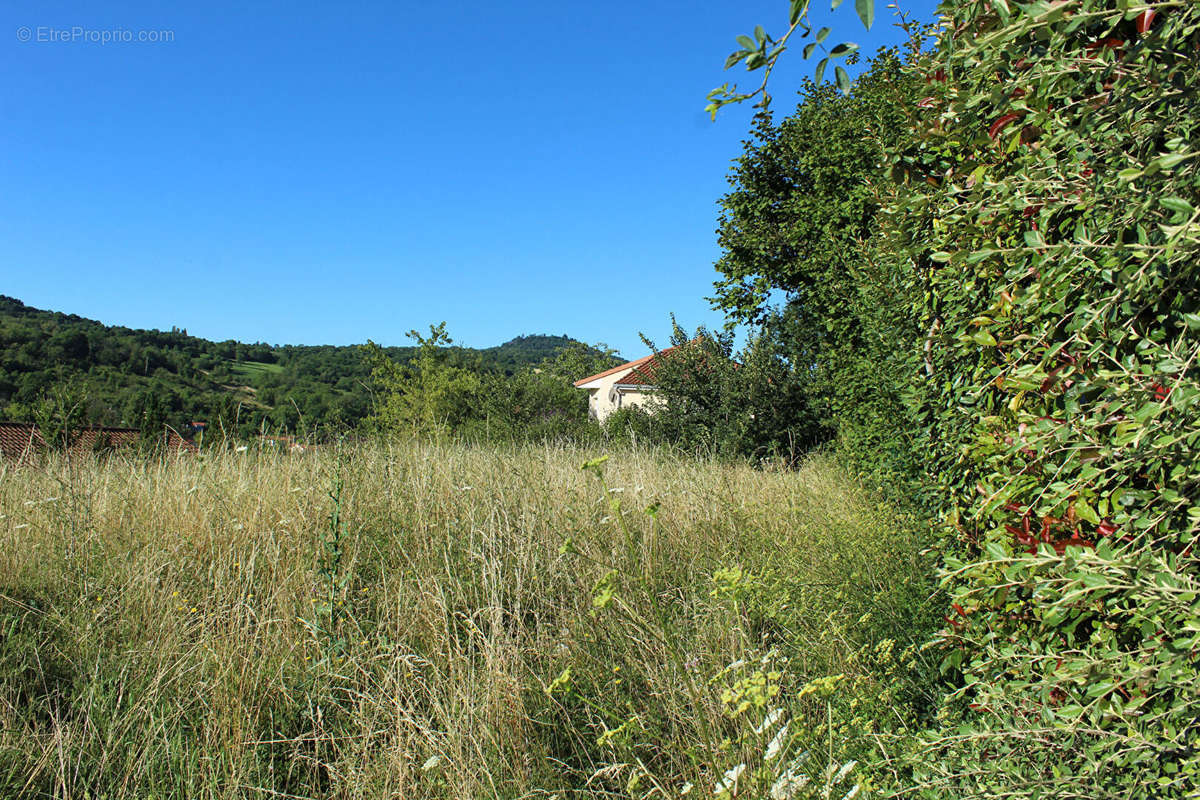 Terrain à ROMAGNAT