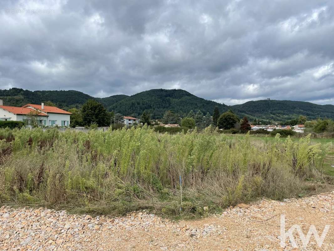 Terrain à BAS-EN-BASSET