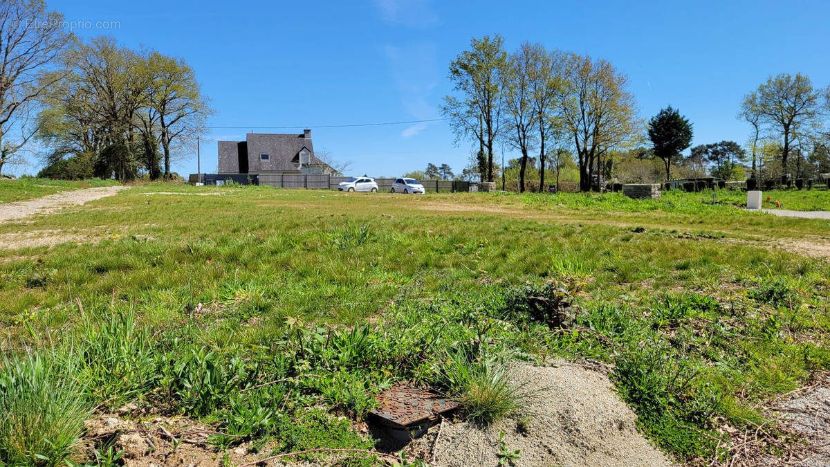 Terrain à LOCOAL-MENDON