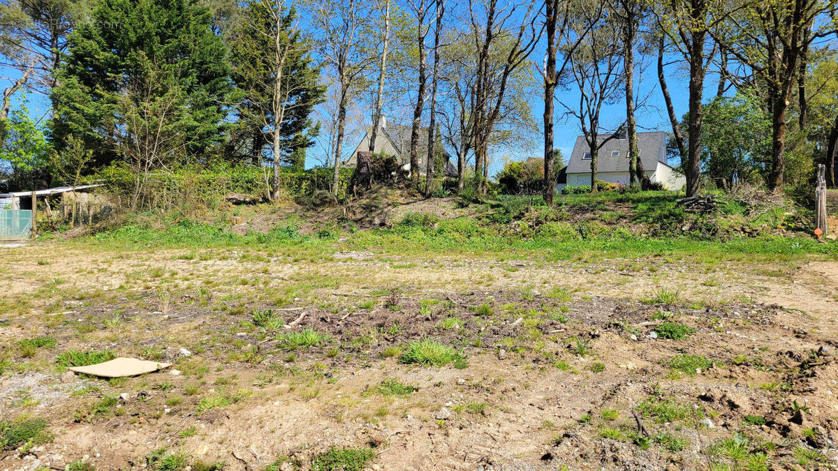 Terrain à LOCOAL-MENDON