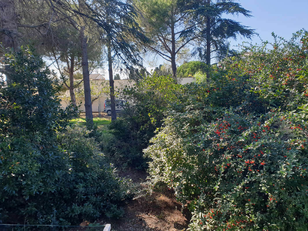 Maison à PORTIRAGNES