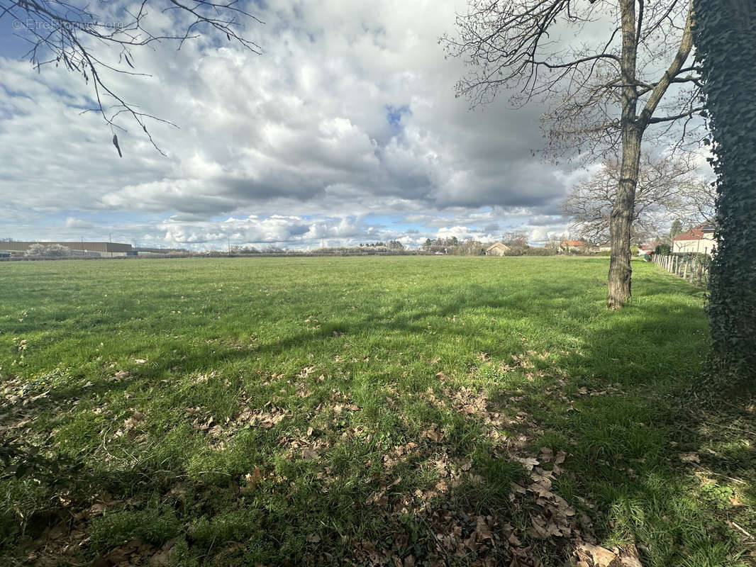 Terrain à BELLERIVE-SUR-ALLIER