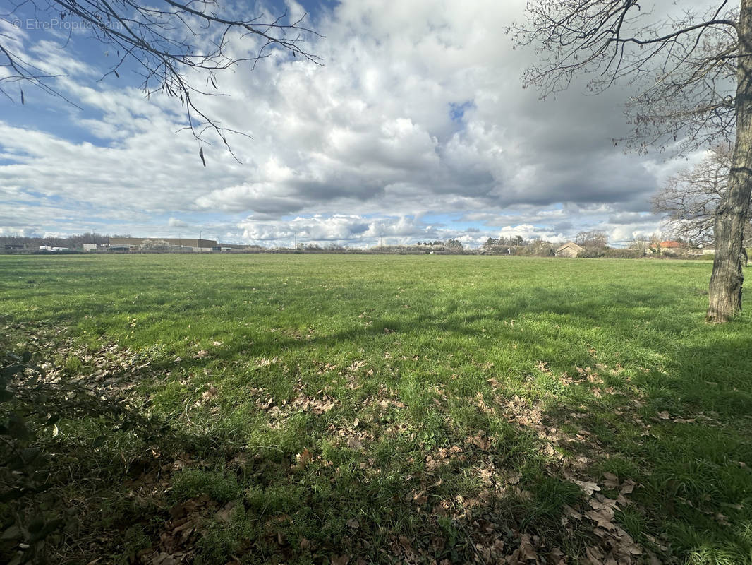 Terrain à BELLERIVE-SUR-ALLIER