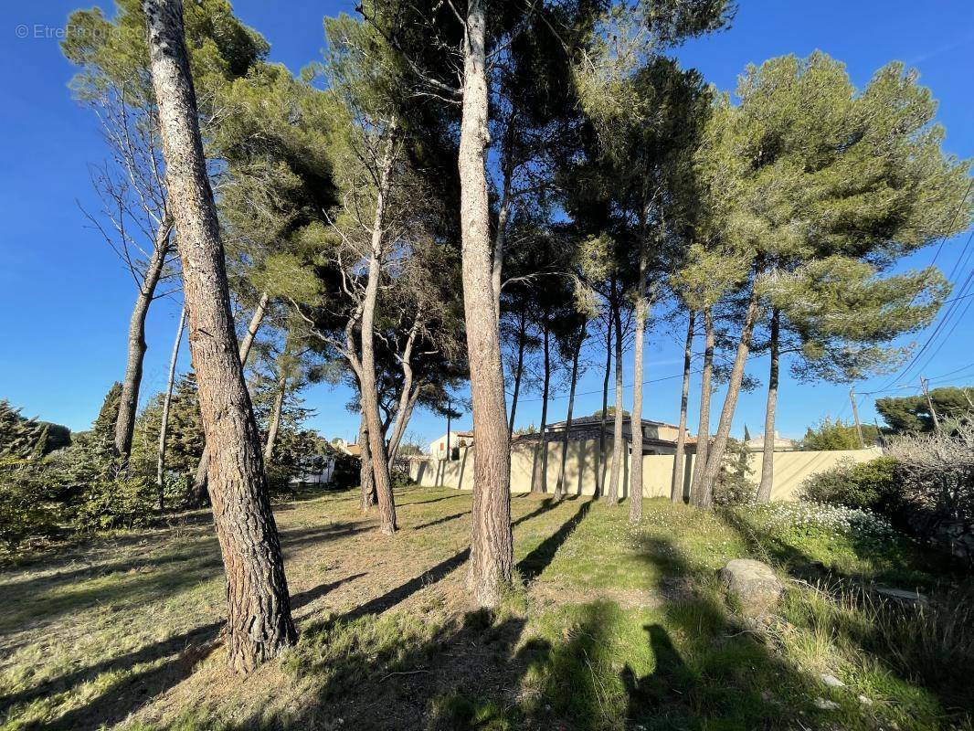 Terrain à SAINT-MITRE-LES-REMPARTS