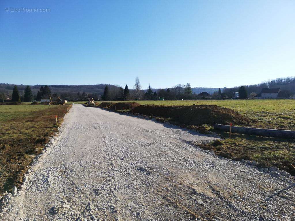 Terrain à MESSIA-SUR-SORNE