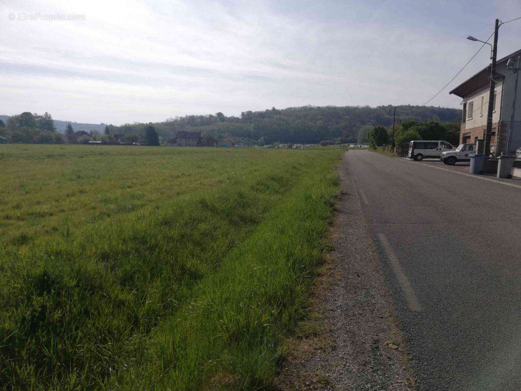 Terrain à MESSIA-SUR-SORNE