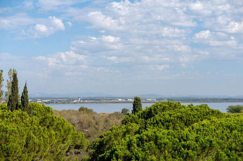 Appartement à CANDILLARGUES